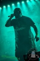 Konzertfoto von Goregonzola @ Metal Franconia Festival Part IV