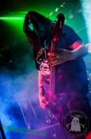 Konzertfoto von Goregonzola @ Metal Franconia Festival Part IV